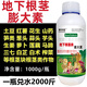 耕豐旺根莖膨大素紅薯地瓜土豆山藥蘿卜花生根莖塊莖膨大素根莖塊莖膨大 地下作物增產(chǎn) 1000克