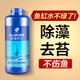 瘋狂石頭魚(yú)缸除藻劑 去藻除青苔綠水魚(yú)塘除藻藥水抑制水藻滋生600ml