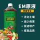 EM菌原液em原露種植型Em菌種微生物菌肥發(fā)酵菌堆肥em發(fā)酵菌廠(chǎng)家 1000ml/瓶*1瓶