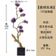 佰擺飾發(fā)財(cái)樹(shù)擺件客廳玄關(guān)大擺件電視柜壁龕邊柜高檔輕奢裝飾品喬遷送禮 紫祥東來(lái)【紫水晶】高100cm