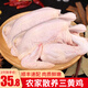 海藍鍋鍋團三黃雞肉 農(nóng)家散養(yǎng)走地雞 140天小母雞椰子雞火鍋生鮮雞肉 三黃雞【2只裝*750克】