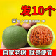 每麗時刻胖東來品質(zhì)文玩青皮核桃野生手把件四座樓白獅子頭虎頭官帽蘋果園 帶皮50-52mm發(fā)10個(+工具)