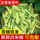 辰實【現(xiàn)貨】新鮮白米椒 野山椒 小米辣椒 現(xiàn)摘泡剁椒 5斤