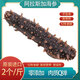 海納堂美國阿拉斯加紅參野生海參即食海參紅刺參原裝進口冰島北極紅海參 12年參齡250克1-2只【償鮮滋補】