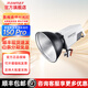 若銳Rawray影室燈150W PRO單色溫補光燈主播發(fā)絲燈美顏打光拍攝室內(nèi)直播間專用攝影拍照美食照相 【新升級】150W pro（180w高亮） 官方標(biāo)配