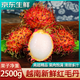 裕農(nóng)叔【JD順豐速發(fā)】紅毛丹水果越南新鮮毛荔枝孕婦應(yīng)季熱帶水果整箱 1000g凈重裝（顆顆精選） 商超A+級大果