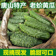 顏曼箐唐山市特產(chǎn)老蚧黃瓜新鮮山黃瓜大刺老芥黃瓜新鮮蔬菜老戒黃瓜 2000g 現(xiàn)摘現(xiàn)發(fā)