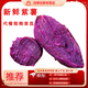 閩農(nóng)語果紫薯紫羅蘭紫薯新鮮【新鮮現(xiàn)挖】湖北現(xiàn)挖粉糯香甜板栗地瓜小紫薯 5斤嚴(yán)選裝【單果2-6兩】凈重4.5斤 【代餐好薯】