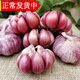 辰實(shí)【現(xiàn)貨】云南紫皮干蒜 干蒜 紅蒜大香蒜多瓣蒜泡臘八蒜 3斤
