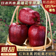 正宗甘肅天水花牛蘋(píng)果紅到發(fā)黑蛇粉平安果新鮮脆粉面沙甜圣誕禮盒 【優(yōu)選大果】5斤