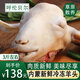 鮮羊官 內(nèi)蒙呼倫貝爾羊肉 羔羊頭新鮮現(xiàn)殺 火鍋食材 生羊頭