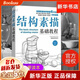 結(jié)構(gòu)素描基礎(chǔ)教程 素描基礎(chǔ)入門教程 正版 人民郵電