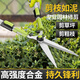 PUANGD普朗德園林剪刀園藝草坪整籬剪伸縮式果樹(shù)粗支剪手動(dòng)綠籬修剪工具