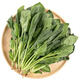 小湯山 北京 菠菜 280g 基地直供新鮮蔬菜