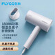 飛科（FLYCO）電吹風(fēng)機(jī)可折疊風(fēng)機(jī)負(fù)離子護(hù)發(fā)學(xué)生宿舍大功率家用理發(fā)店酒店風(fēng)筒 FH6276 1800W可折疊帶負(fù)離子