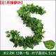 盛世泰堡仿真花綠蘿花藤吊頂綠植藤蔓房間裝飾空調(diào)管道餐廳布置81葉12條裝