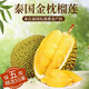 枝遙榴蓮泰國金枕頭榴蓮 自然樹(shù)熟 液氮冷凍新鮮水果6-7斤（包4-5房）黃金果形A級果新手入門(mén)【高性?xún)r(jià)比】