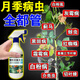 月季花病蟲(chóng)害常用黃葉黑斑病白粉枯葉病葉子發(fā)黑黃炭疽病專(zhuān)用肥 單瓶裝【500ml】