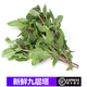 【順豐】新鮮九層塔葉 金不換 冬陰功香料蔬菜 250g