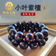 蒂海玉珠印度小葉紫檀手串滿金星檀香木男士款2.0盤文玩佛珠收藏款送禮 15顆15mm滿金星【包漿款】