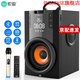 索愛(ài)（soaiy） Q22藍牙音響高音質(zhì)音箱無(wú)線(xiàn)家用店鋪專(zhuān)用大音量k歌戶(hù)外廣場(chǎng)舞便攜式小型重低音炮 Q22炫酷黑【單話(huà)筒+充電線(xiàn)】 官方標配