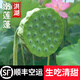 藕荷泥（OUHENI）洪湖嫩蓮蓬新鮮蓮子米生吃嫩蓮蓬米湖北特產(chǎn)孕婦甜水果嫩蓮蓬即食 洪湖嫩蓮蓬3斤（順豐空運(yùn)）
