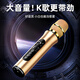 聽(tīng)聲者擴音器麥克風(fēng)大音量藍牙音箱一體家用KTV戶(hù)外無(wú)線(xiàn)話(huà)筒自帶聲卡唱歌好音質(zhì)音響可插內存卡便攜式 金色V高性?xún)r(jià)比V金屬材質(zhì)V防嘯叫升級