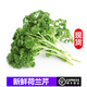 桃李村【順豐】荷蘭芹 歐芹蕃茜洋芫荽法香 新鮮西餐蔬菜 250g