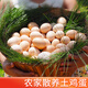 幽蘭谷工廠(chǎng)直賣(mài)新鮮土雞蛋散養谷物蛋 40克±5g 10枚*【爆款】