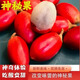 水果神秘果干12 粒神奇果 變味果酸變甜鮮果蜜果新鮮稀奇古怪水果 12粒（干果）送檸檬