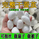 天然烘干完整帶蠶蛹桑蠶繭抽絲手工彩繪展示蠶繭殼桑蠶絲團扇蠶繭 【100個(gè)】白色干蠶繭