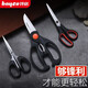 拜格剪刀多功能廚房剪不銹鋼家用剪子裁縫剪手工剪剪肉食物剪子雞骨剪