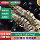 隆港匯活凍特大號黑虎蝦 大蝦類(lèi) 老虎蝦對蝦斑節蝦 鮮活急凍 海鮮禮盒 2盒裝16頭/盒 750g(凈重)