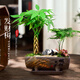 愛(ài)優(yōu)尚辮子發(fā)財樹(shù)文竹盆栽桌面擺件禪意盆景辦公室招財源頭直發(fā)