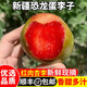 儲褚新疆味帝恐龍蛋酸甜紅布林現摘孕婦紅心李子美國引進(jìn)品種新鮮水果 4斤精選大果禮盒裝順豐空運