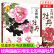 怎樣畫牡丹王宣明中國(guó)畫技法教學(xué) 水墨畫牡丹新手初學(xué)自學(xué)入門教材教程寫生創(chuàng)作畫法步驟講解作品分析欣賞臨摹 國(guó)畫教程正版圖書籍