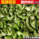 蘇北泰州現(xiàn)摘溱湖菱角新鮮生棱角凌角粉糯嫩老菱角黑凌角5斤裝 2500g