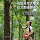 牧達(dá)人鋰電高枝鋸電動(dòng)高枝剪充電式加長桿伸縮修剪樹枝剪果樹園林高空鋸 4.8米24V8寸12安5小時(shí)5根精品鏈