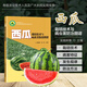 西瓜栽培技術(shù)與病蟲(chóng)害防治圖譜 西瓜種植技術(shù)大全書(shū) 西瓜選種定植田間管理病蟲(chóng)害防治采收貯藏指導書(shū) 圖解西瓜侵染性病害蟲(chóng)害發(fā)生規律防治方法 園藝農藝學(xué)農業(yè)技術(shù)推廣指導書(shū) 中國農業(yè)科學(xué)技術(shù)出版社