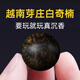 天然越南芽莊白奇楠沉香散珠珠子單顆老料沉水級(jí)手串手鏈配飾檀木 16mm單顆【沉水級(jí)】