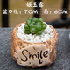 簡(jiǎn)詩(shī)肉肉盆栽室內(nèi)幼兒園三八節(jié)日禮物多肉植物帶盆土玉露新手綠植花卉 姬玉露+精致花盆+土