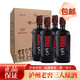瀘州老窖三人炫聞炫尊享版52度1000ml 2018年陳釀 濃香型白酒 收藏自飲 52%vol 1L 4瓶 箱裝