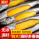 多春魚(yú)滿(mǎn)籽新鮮人吃籽魚(yú)冷凍海鮮水產(chǎn)鮮活超特大海魚(yú)燒烤食材商用 大號 滿(mǎn)籽多春魚(yú)500g*2袋【25條左右/袋】