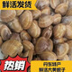 鮮活丹東東港本地黃蜆1斤24粒左右百分之95吐沙率順豐包郵 3斤