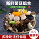 云南新鮮野生菌組合羊肚菌鮮牛肝菌蘑菇時(shí)令雜菌煲湯食用禮盒干菌 新鮮菌子組合【6種菌】 500g【順豐空運】