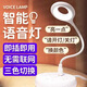 聲控氛圍燈智能語(yǔ)音小夜燈睡覺(jué)usb床頭臺燈 車(chē)用車(chē)載新人專(zhuān)區專(zhuān)享 智能聲控小夜燈【3色變光】