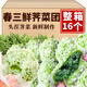 美琪點春三鮮薺菜青團手工現(xiàn)做野菜糯米薺菜團子早餐小吃 春三鮮薺菜青團4袋裝 【共16個】