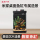 畫(huà)法幾何魚(yú)缸造景小型魚(yú)缸米家智能桌面魚(yú)缸專(zhuān)用沉木造景套餐 魚(yú)缸裝飾 蕨類(lèi)沉木造景+底砂套餐