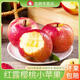紅露櫻桃小蘋果云南新鮮現(xiàn)摘當(dāng)季冰糖心紅富士萍果孕婦嘎啦果 【櫻桃小蘋果】3斤（單果50-60mm）