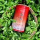 天福茗茶 茶葉 悠然天地中安溪鐵觀音特級清香型烏龍茶104.5g罐裝 自飲